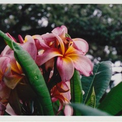 5 - 15 - 12 GEORGIA (1)