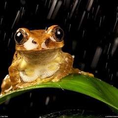 Будни Спасателей аудио трэк