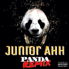 Junior Ahh- Desiigner "Panda" REMIX .mp3