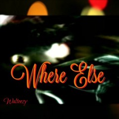 Walteezy - Where Else (Harms Interlude)
