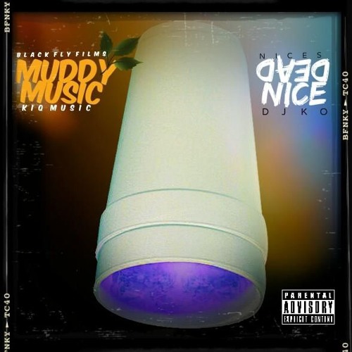 DeadNice - What It Hit Fo