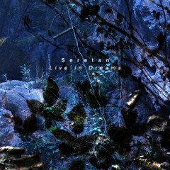 Seretan - The Open Door