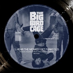 THE BIG BIRD CAGE - HEAR THE MONKEY GET FUNKY **FREE DOWNLOAD**