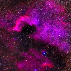 ┼ǷѦЙ № 579┼