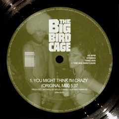 THE BIG BIRD CAGE - YOU MIGHT THINK I'M CRAZY (Grin Music)