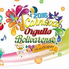 Carnaval - Orgullo - Bolivare - Prefectura - 7 de febrero del 2016