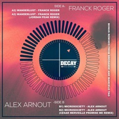 Alex Arnout - Microsociety (Cesar Merveille's Promise Me Remix)