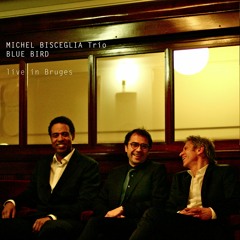 Michel Bisceglia trio - Dry Water (live in Bruges)