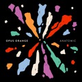Opus&#x20;Orange Calm&#x20;Down Artwork