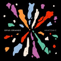 Opus Orange - Calm Down