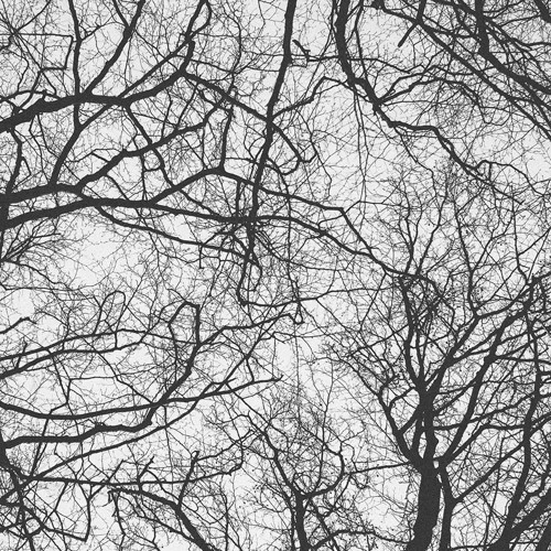 Sebastian Mullaert - You're An Orchestra In The Cosmos (Original Mix)