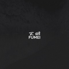 FUMEI006 - Spline - Noises