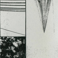 Copley Medal "Manjurite Con"