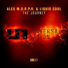 Alex M.O.R.P.H. & Liquid Soul - The Journey