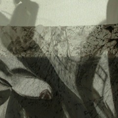 Conclusion In A Flat (rearranged by Pippo Corvino)