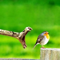 Watch Out (Freestyle) - Gary P