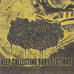 HUMAN STENCH RESTS IN THE MORGUE - 6 UNTITLED TRXX FROM "KEEP COLLECTING BODY SECTIONS"