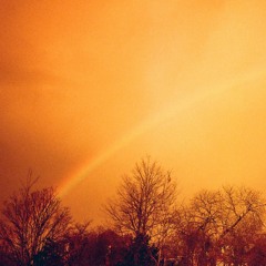 Bob's DarwinTrack #006