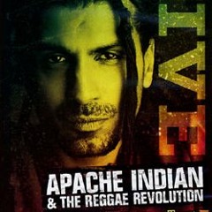 SOUL FOR REAL-Every Little Thing I Do Vs APACHE INDIAN- Chok There(SHY BOY STEVE REMIX)