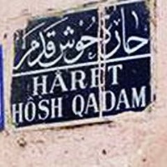 ليلى نظمى شوف الحكاية ياوله شوف الحكايا  عشق الصبايا يا ولا طول معاى