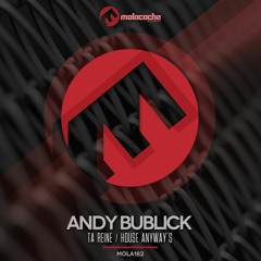 Andy Bublick - Ta Reine (Original Mix) ** EXCLUSIVE PREVIEW**