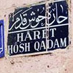 محمد رشدى - الغربة
