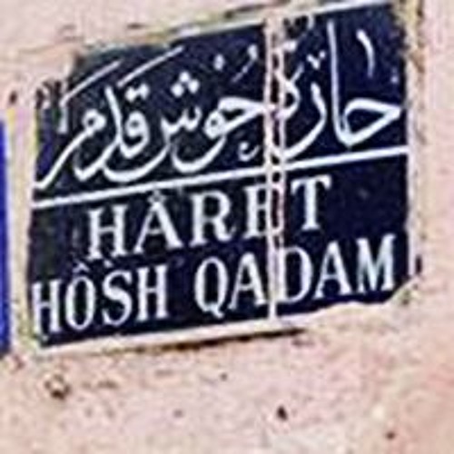 احمد فؤاد نجم - احمد افندى محمد حامد عبد العال