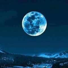 몽환의 숲 + 프라워댄스 remix