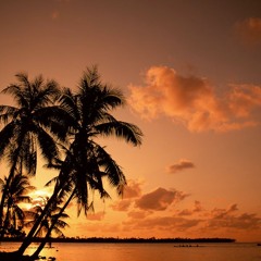 Basta Lion   DanceHall Madagascar