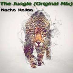 The Jungle (Original Mix)- Nacho Molina [Free Download]