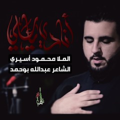 أنادي يا علي - الرادود محمود أسيري