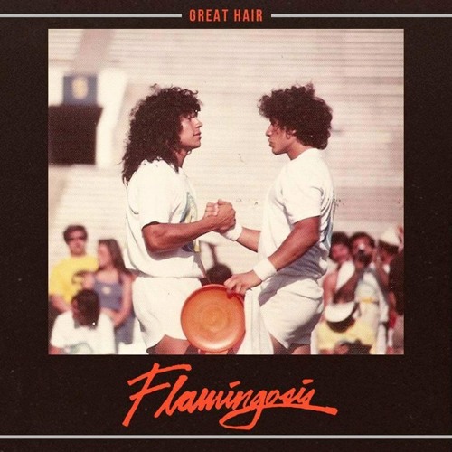 Flamingosis - Hidden Attraction