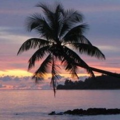 Kojero Wot Nan Indreo - Jlik Jwar