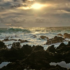 Making of a Cyborg - Remix