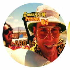 LABO 14 PARANO 01 VINYLE  24