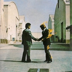 Pink Floyd - Shine On You Crazy Diamond (Stop File Edit)