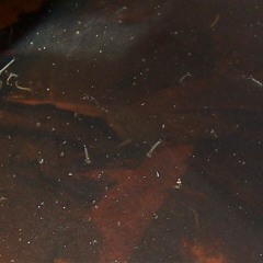 TyphoN - STAGNANT [FREE DOWNLOAD]