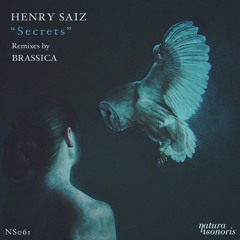 Henry Saiz - Secrets (Brassica Remix)