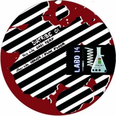 LABO 14 (Casi perf)A1 DIATRIBE 01