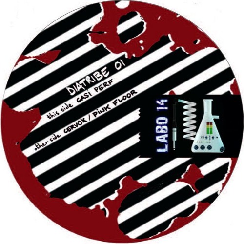 LABO 14 (Casi perf)A1 DIATRIBE 01