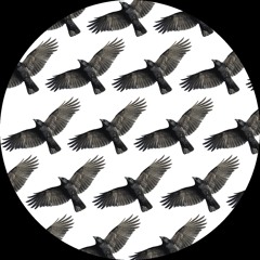 Zugehörig (Live-Jam)