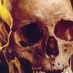 I Am Hamlet And I Am Fucked