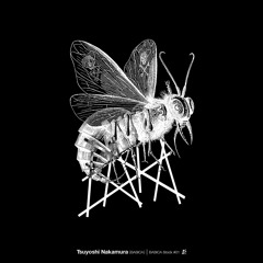 Tsuyoshi Nakamura(BASICA) - BASICA Stock #01 Hizumi (Teaser)