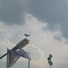 Íme egy pohár takony