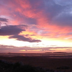 Reaching For The Sun