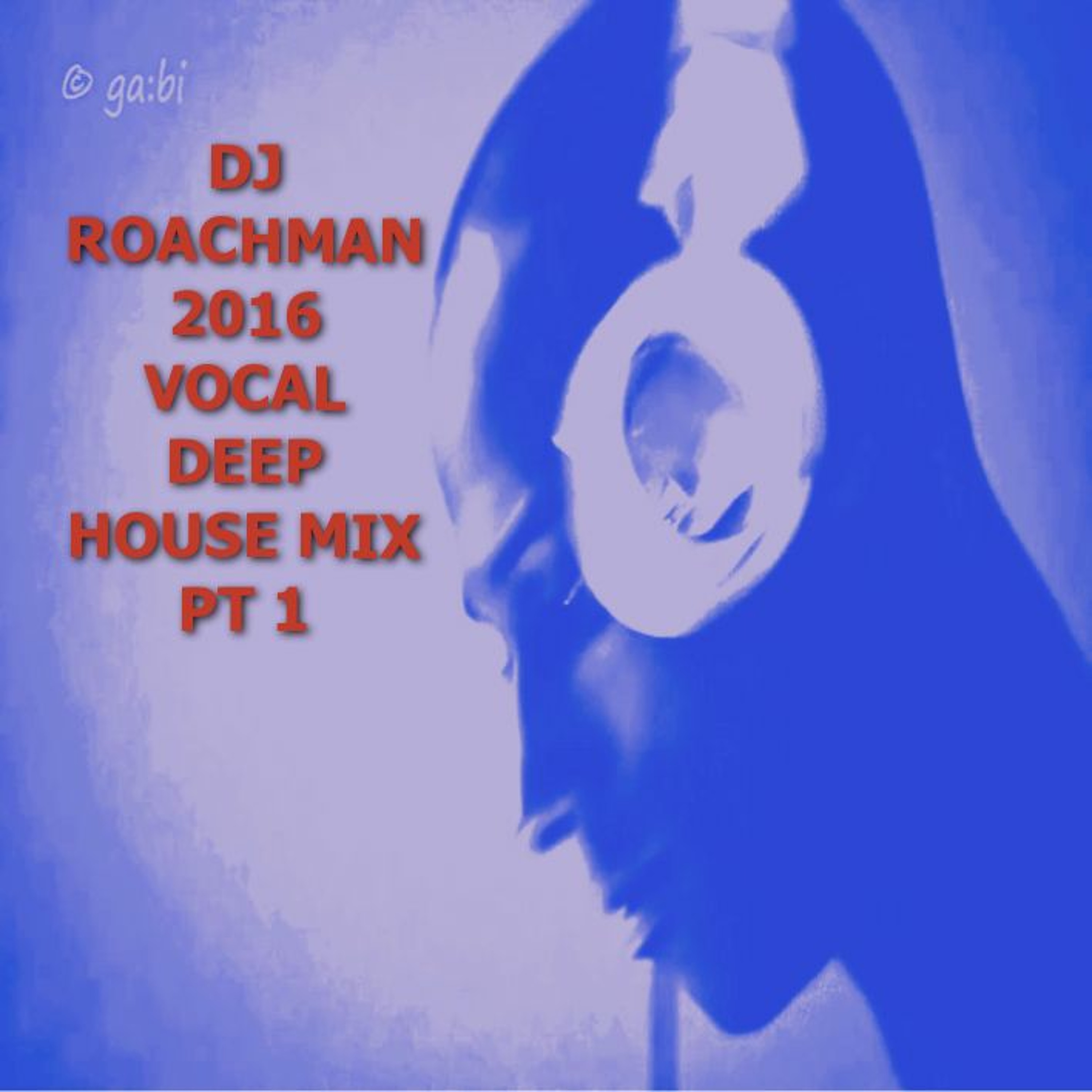 DJ Roachman