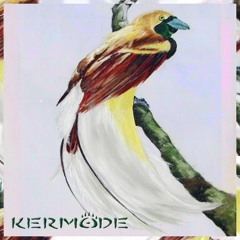 Kermode - My Beloved Bird Of Paradise