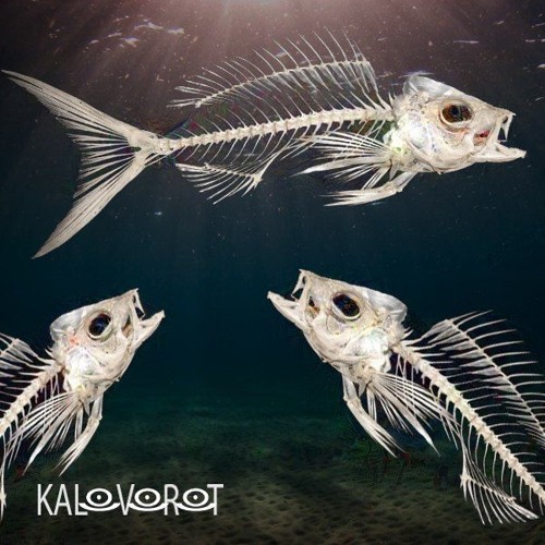 Kalovorot - Agony