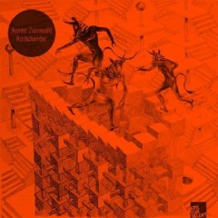 Reinier Zonneveld - Rushchamber