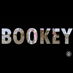 Sinto - Bookey REMIX [@SintoUK]